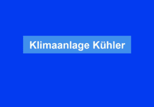 Mehr über den Artikel erfahren Klimaanlage Kühler