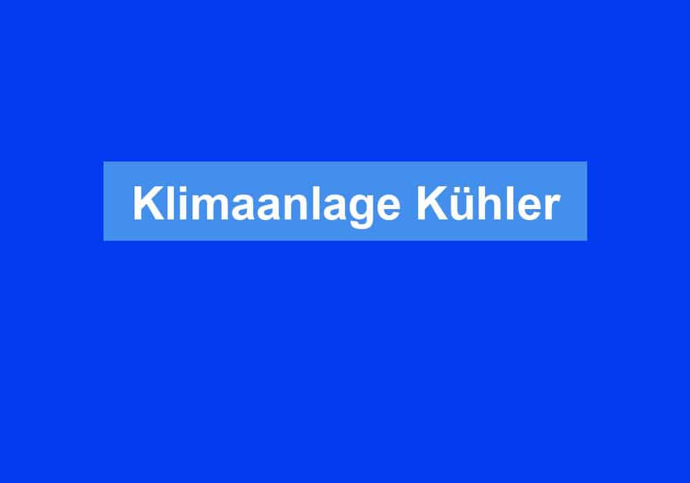 Du betrachtest gerade Klimaanlage Kühler